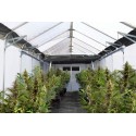 Oriana 8x20 Greenhouse Kit  - Silver (HG5320)