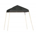 Shelter Logic 8x8 Pop-Up Canopy - Black (22573)