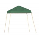 Shelter Logic 8x8 Pop-up Canopy Kit - Green (22572)