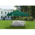 Quik Shade Expedition EX100 10x10 Straight Leg Canopy - Green (163448DS)