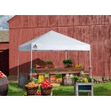 Quik Shade Commercial 10x10 Straight Leg Canopy - White (157398DS)