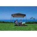 Quik Shade Solo Steel 9x9 Slant Leg Canopy - Black (167558DS)