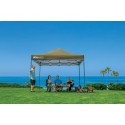 Quik Shade Solo Steel 100 10x10 Straight Leg Canopy - Olive (167549DS)