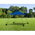 Quik Shade Weight Bags for Canopies (162681DS)