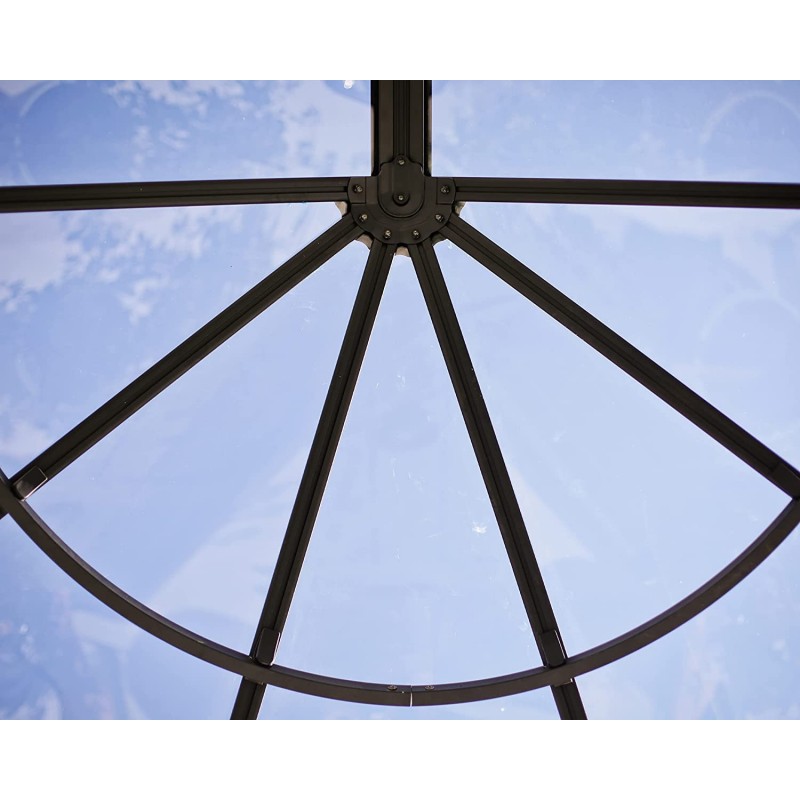 Palram - Canopia 6x4 Lily 1780 Awning - Clear (HG9575)