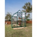 Palram 6x8 Mythos  Hobby Greenhouse Kit - Green (HG5008G)