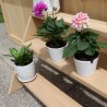 Yardistry Meridian Greenhouse 3 – Tier Wooden Plant Stand (YM11815COM)