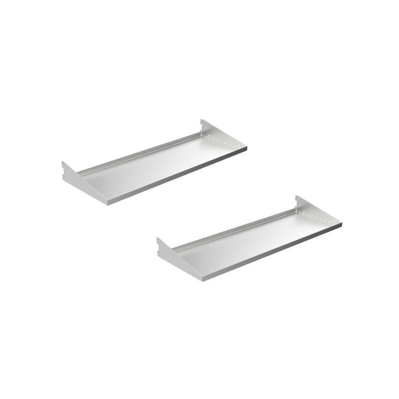 Biohort 2-pack Shed Shelves Kit (BIO2003)