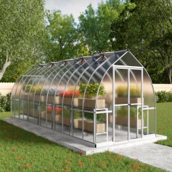 Palram - Canopia Bella 8 x 24 Greenhouse - Silver (HG5424)