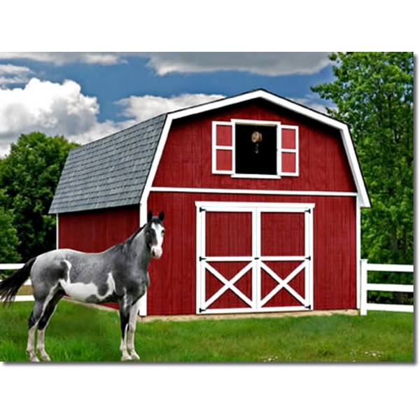 Best Barns Roanoke 16x24 Wood Storage Shed Kit (roanoke1624)