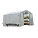 Shelter Logic 10x20x8 Peak Style Greenhouse-In-A-Box Kit - Translucent (70658)