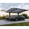 Palram – Canopia Arizona Wave Aluminum & Steel Double Carport - Wing Style (HG9101)