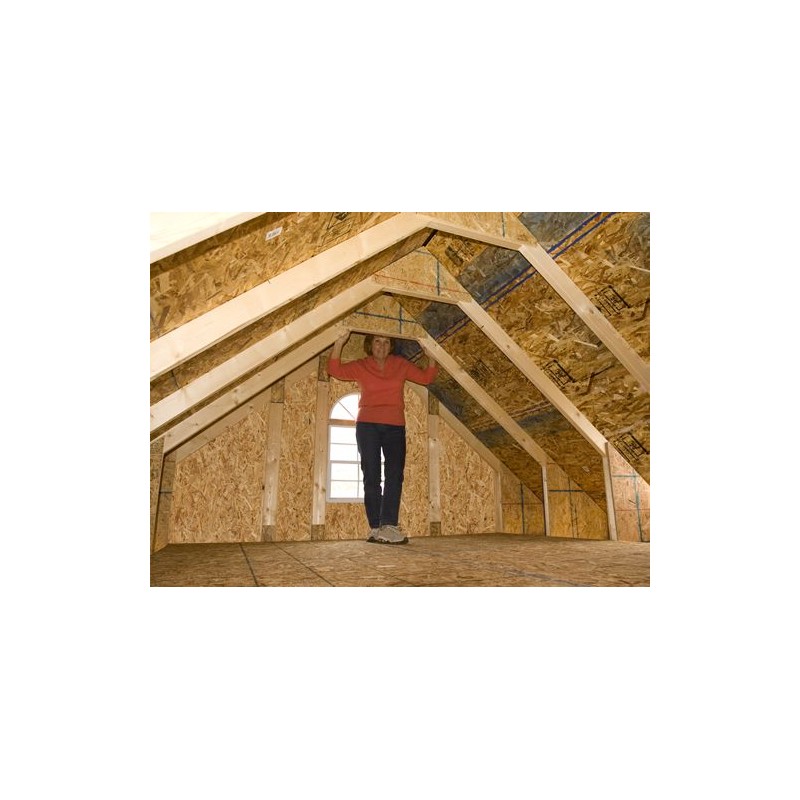 Best Barns Planner’s Paradise 12x20 Pre-Cut Wood Shed Kit w/ Transom Doors – (PPARTD20)
