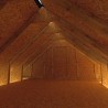 Best Barns Planner’s Paradise 12x20 Pre-Cut Wood Shed Kit w/ Transom Doors – (PPARTD20)