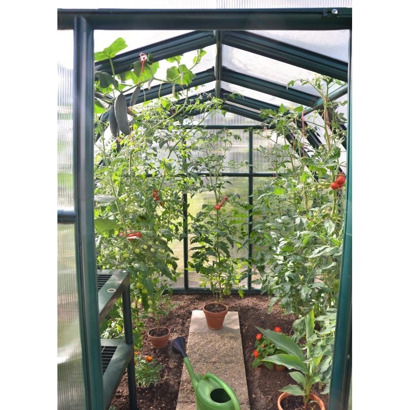 Rion 6x12 EcoGrow 2 Twin Wall  Greenhouse Kit (HG7012)
