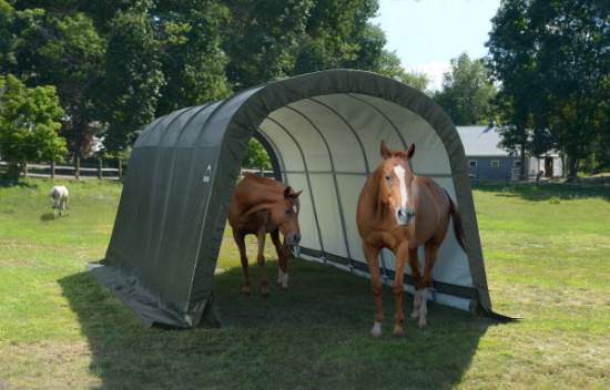 Shelterlogic Shed-in-a-Box 12x20x8 Shelter Kit - Green (51376) This shed-in-a-box is a perfect shade to your horses. 
