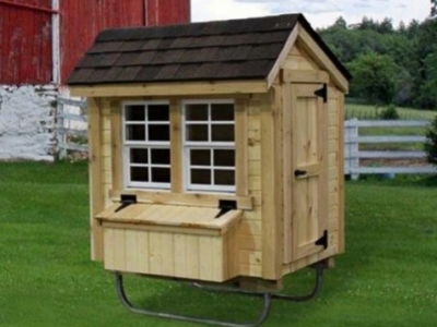 Backyard Chickens - The Ultimate Pet Guide